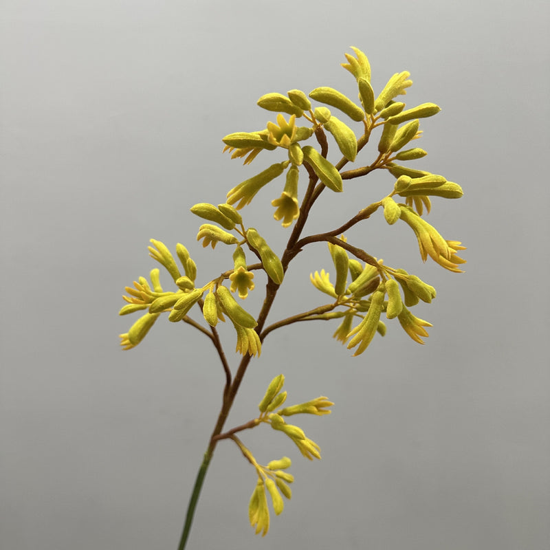Artificial Kangaroo Paw Bush, Plastic PE/PVC Faux Greenery, Indoor Outdoor, for Home, Weddings & Window Displays