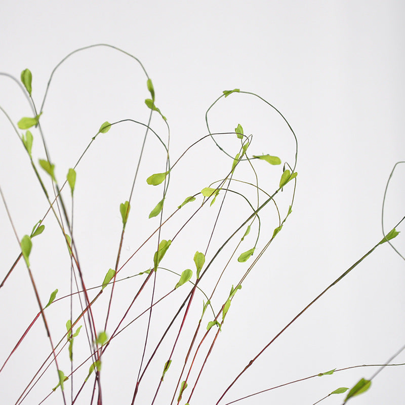 Artificial Pussy Willow Branch, Single Stem with 12 Branchlets, Bendable Faux Willow Stem for Vases, Weddings & Home Decor