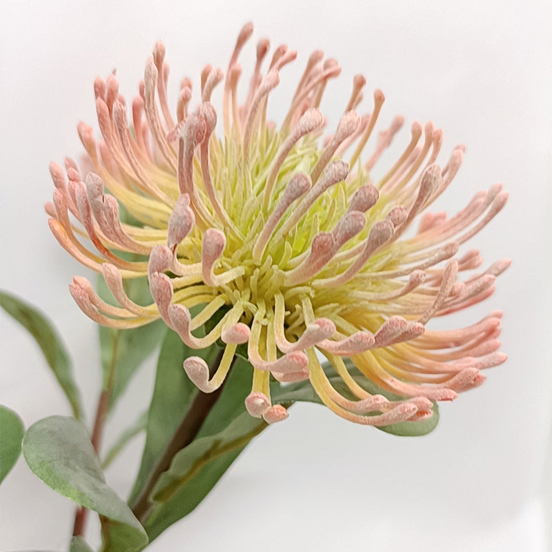 Single Stem Artificial Green Chrysanthemum Flower, 23" Long, Realistic Plastic Floral for Home Decor, Wedding, and Events