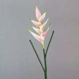 5-Pack Artificial Bird of Paradise Flowers - Faux Crane Flower Decor for Weddings & Windows