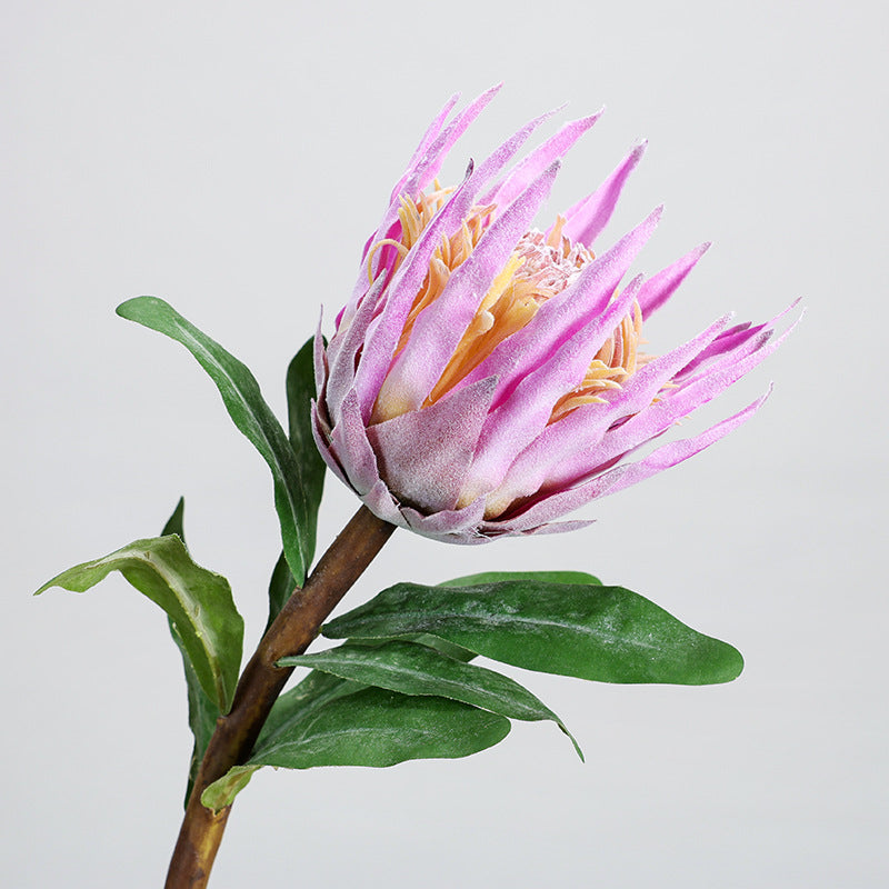 Single Stem Artificial King Protea Flower, 22" Tall, Plastic, Indoor Decor for Home, Weddings & Events