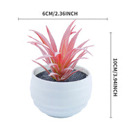 Bulk 2Pcs Succulents Plants 2025 Artificial 2.5 Inch Pots for Boho Bedroom Aesthetic & Office Zen Decor Hypoallergenic Wholesale
