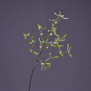 3 Pcs Artificial Mistletoe Stems with Leaf and Pearl Fruit, 12 Inch Winter Xmas Floral Arrangement
