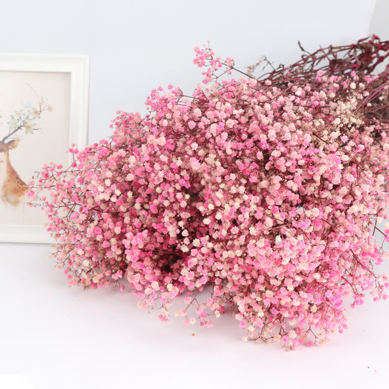 1 Bundle Dried Baby's Breath Gypsy Flowers, Natural Color, Wedding Floral Arrangement, Home Party Decor