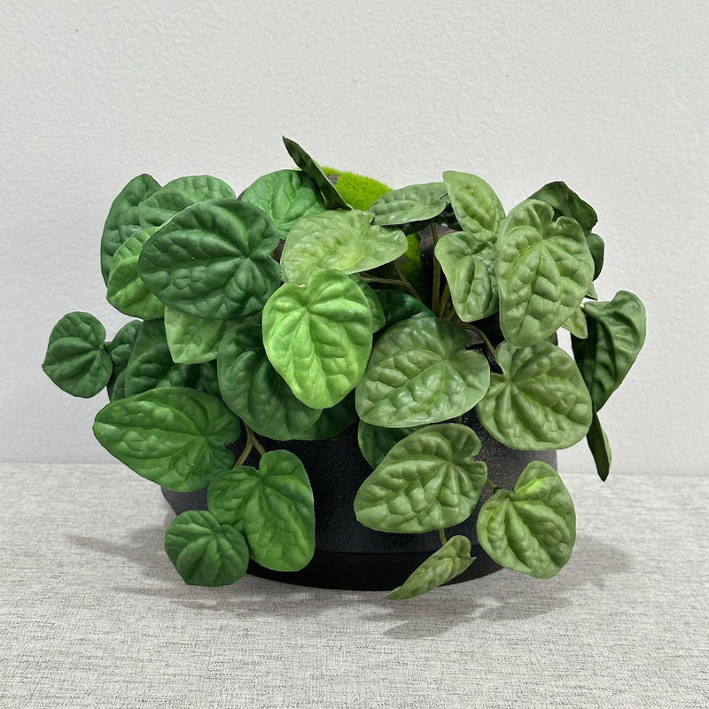 Artificial Wrinkled Peperomia Leaf Bush, Plastic Faux Greenery Stem for Home Decor, Weddings & Window Displays