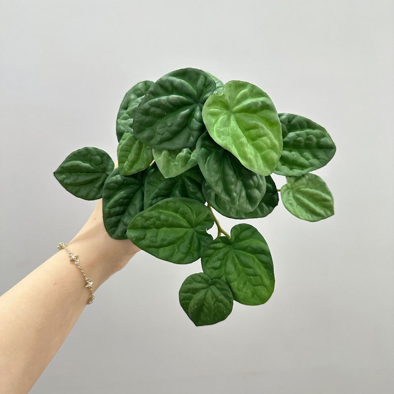 Artificial Wrinkled Peperomia Leaf Bush, Plastic Faux Greenery Stem for Home Decor, Weddings & Window Displays