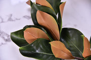 56 Inch Magnolia Leaf Garland 56 Pcs Real Touch Artificial Leaves Fall Mantle Decor