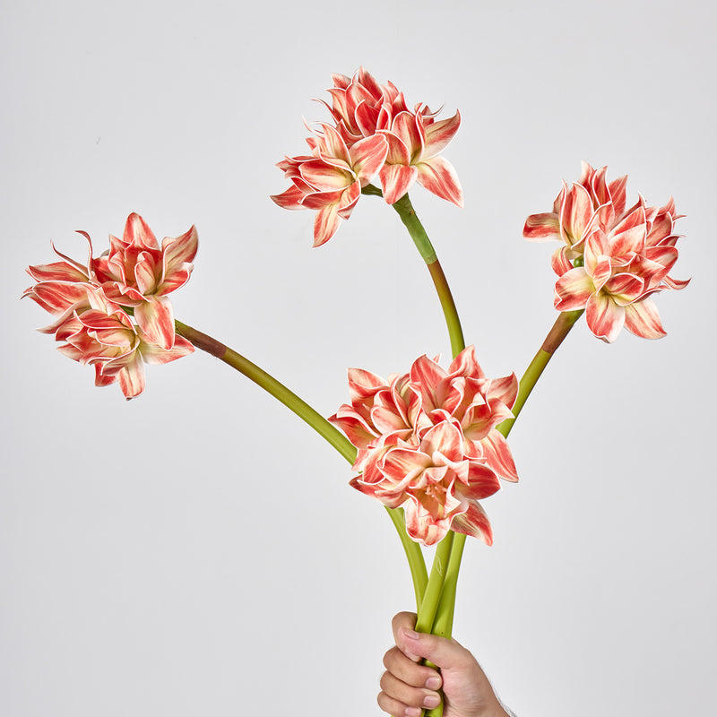 Artificial Clivia Bush with 3 Blooms, 22" Tall, Plastic Material, for Weddings, Home Decor, and Events