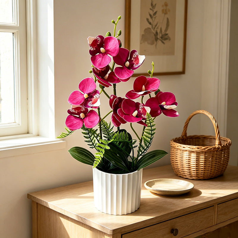 Potted Phalaenopsis Orchid with 9 Blooms, 12.4" Tall, Plastic, Includes Planter, for Home, Office, Weddings, and Events
