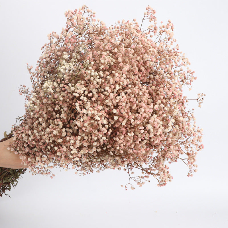 1 Bundle Dried Baby's Breath Gypsy Flowers, Natural Color, Wedding Floral Arrangement, Home Party Decor
