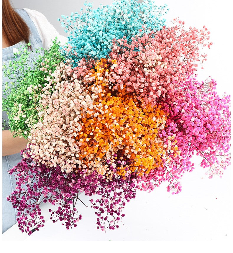 1 Bundle Dried Baby's Breath Gypsy Flowers, Natural Color, Wedding Floral Arrangement, Home Party Decor