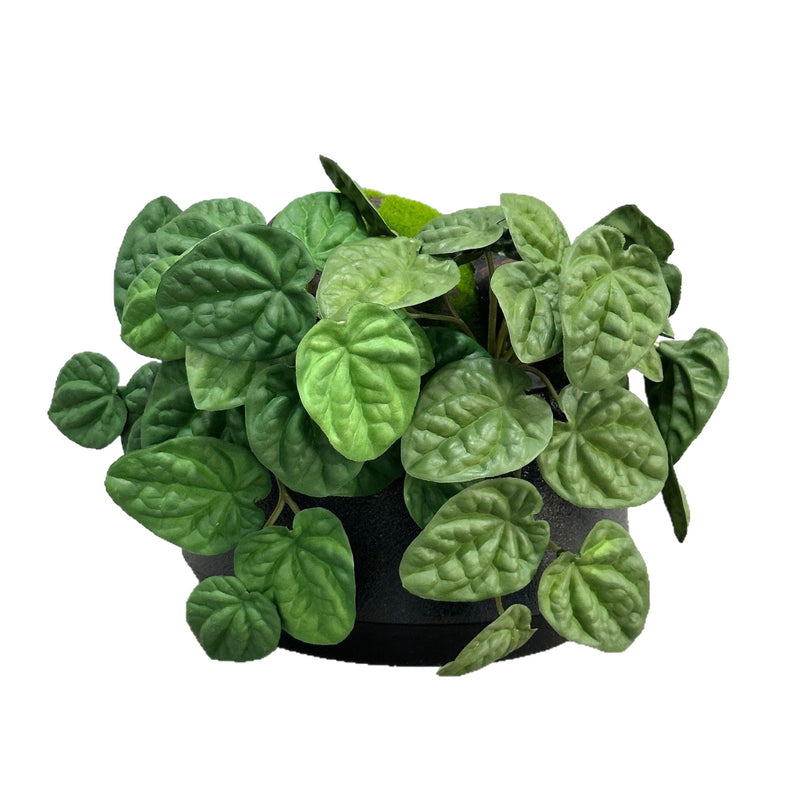 Artificial Wrinkled Peperomia Leaf Bush, Plastic Faux Greenery Stem for Home Decor, Weddings & Window Displays