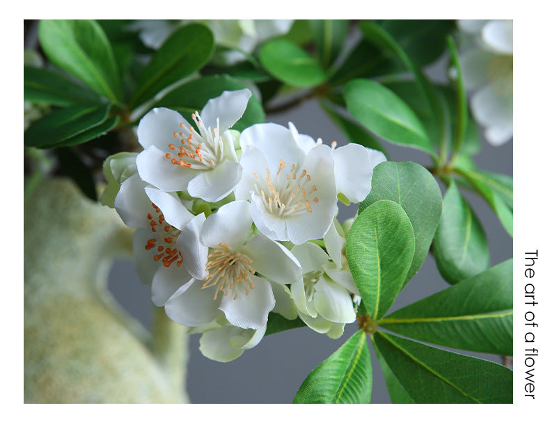 Artificial Pittosporum Flower Stem, Single Stem with 15 Blooms, 31" Tall, Silk Material, White or Purple, Modern Decor for Home, Wedding, or Commercial Spaces
