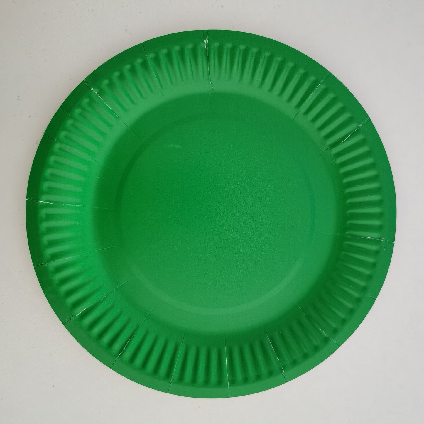 Bulk 9 Inch Disposable Eco-Friendly Paper Plates Wholesale
