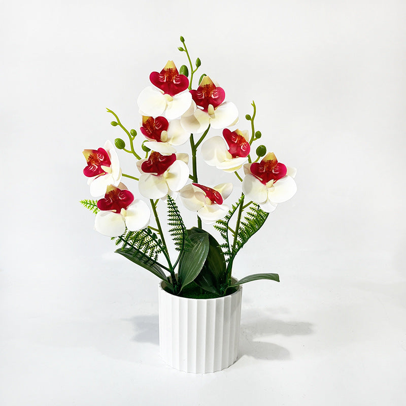 Potted Phalaenopsis Orchid with 9 Blooms, 12.4" Tall, Plastic, Includes Planter, for Home, Office, Weddings, and Events