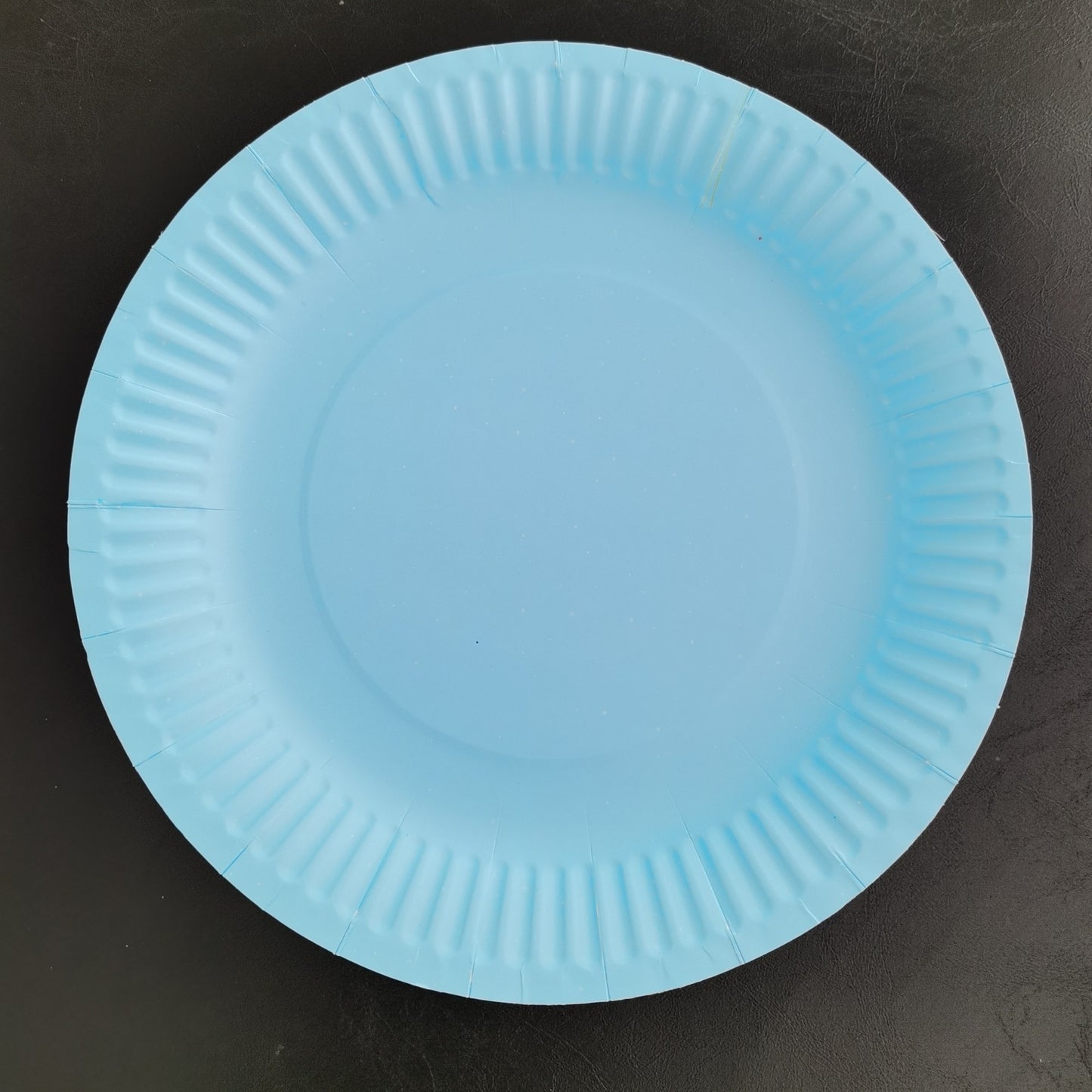 Bulk 9 Inch Disposable Eco-Friendly Paper Plates Wholesale