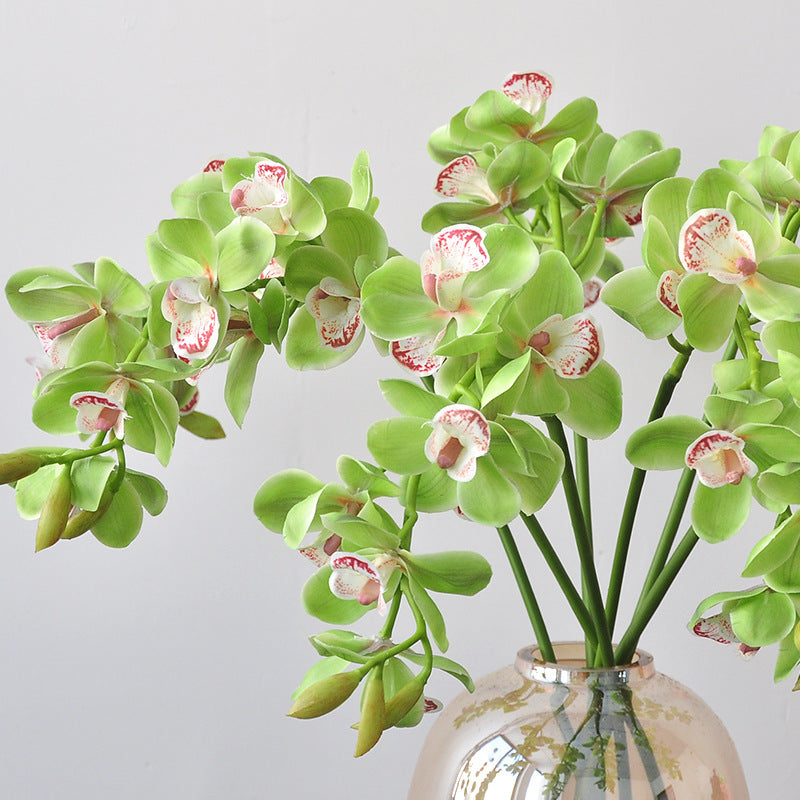 Single Stem Artificial Phalaenopsis Orchid, 69cm Long, 8 Blooms, PE/PVC Material, Modern Green Décor for Home, Office, or Events