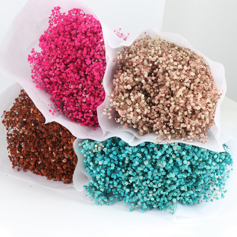 1 Bundle Dried Baby's Breath Gypsy Flowers, Natural Color, Wedding Floral Arrangement, Home Party Decor
