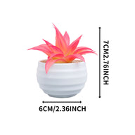 Bulk 2Pcs Succulents Plants 2025 Artificial 2.5 Inch Pots for Boho Bedroom Aesthetic & Office Zen Decor Hypoallergenic Wholesale