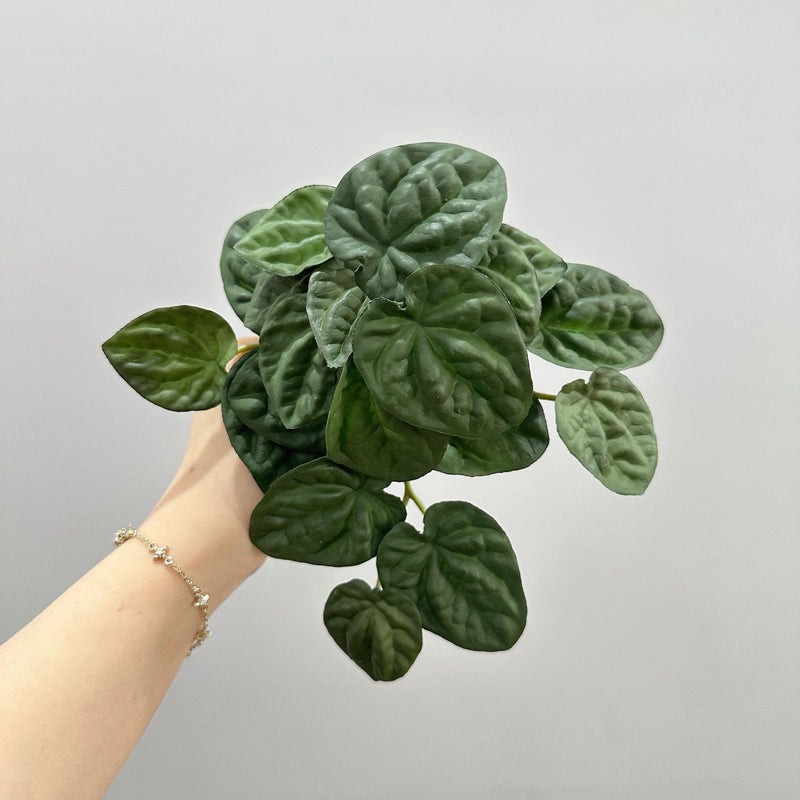 Artificial Wrinkled Peperomia Leaf Bush, Plastic Faux Greenery Stem for Home Decor, Weddings & Window Displays