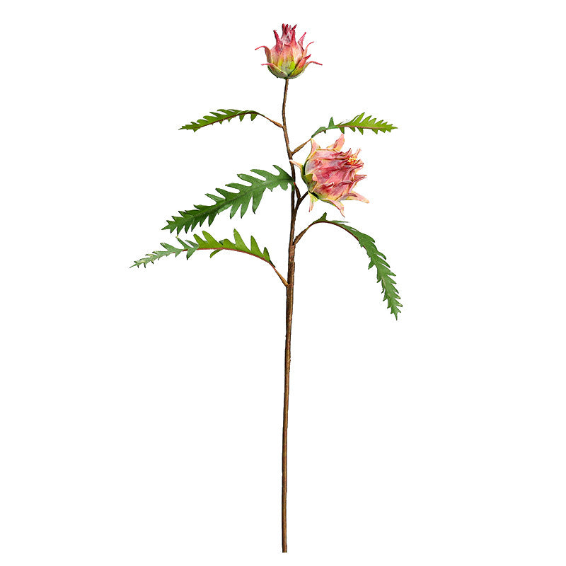 Artificial Milk Thistle Stem, Double Bloom Faux Botanical for Home Decor, Office & Events, 23" with 5 Leaves