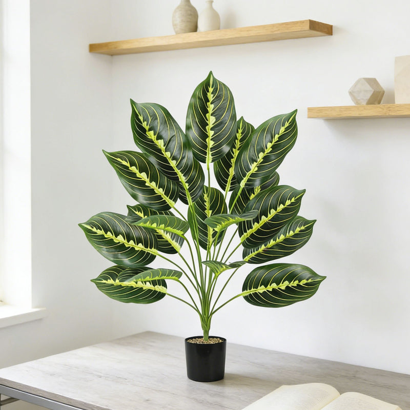 Artificial Calathea Plant, 17 Inch Tall, Realistic Plastic Greenery for Home, Office, Wedding Decor