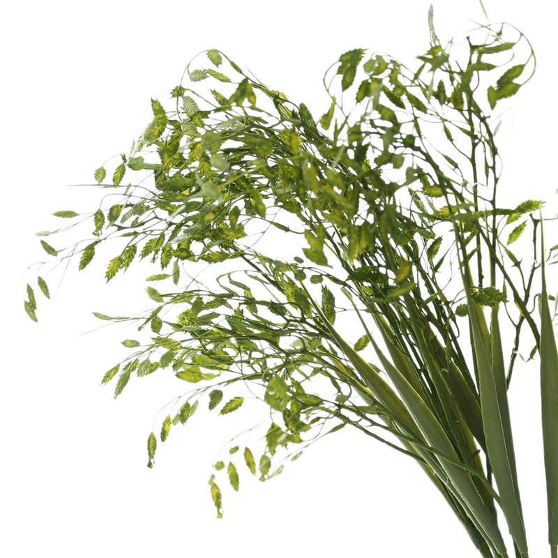 Artificial Grass Stems, 2-Branch Prairie Dropseed, 31" Tall, Silk-Like Fabric, Home Decor, Wedding Arrangements, Bulk Purchase Available
