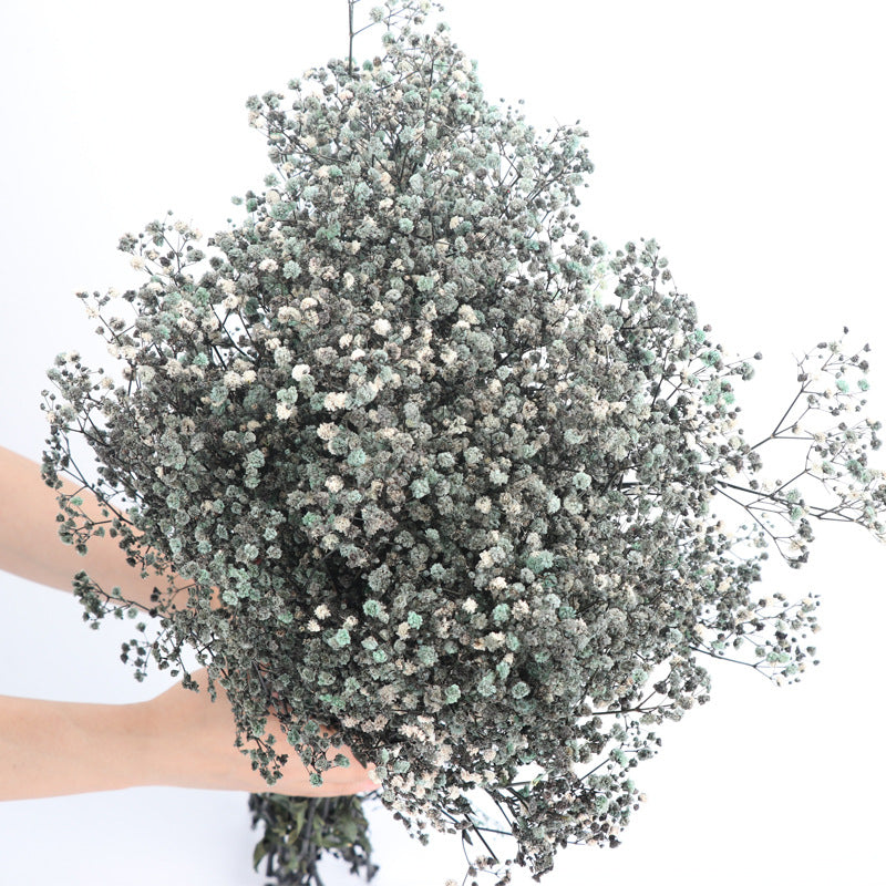 1 Bundle Dried Baby's Breath Gypsy Flowers, Natural Color, Wedding Floral Arrangement, Home Party Decor