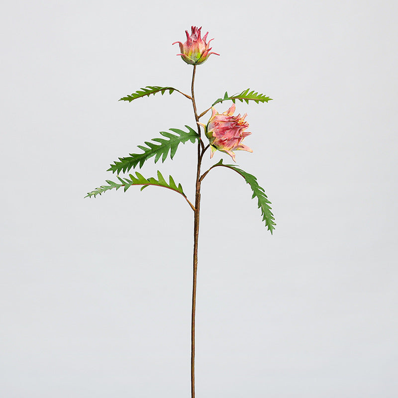 Artificial Milk Thistle Stem, Double Bloom Faux Botanical for Home Decor, Office & Events, 23" with 5 Leaves