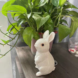 Easter Bunny Couple Resin Statues - 2 Pack Garden & Lawn Decor Figurines