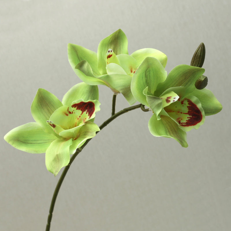 Single Stem Magnolia Flower, 29" Tall, Real-Touch Latex, 5 Blooms, Perfect for Home Decor, Weddings, and Events