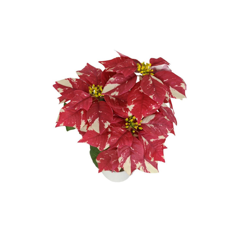 Artificial Poinsettia Bush with 23cm (9") Snowflake-Patterned Blooms, 20" Tall, Indoor Decor