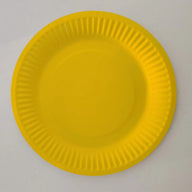 Bulk 9 Inch Disposable Eco-Friendly Paper Plates Wholesale