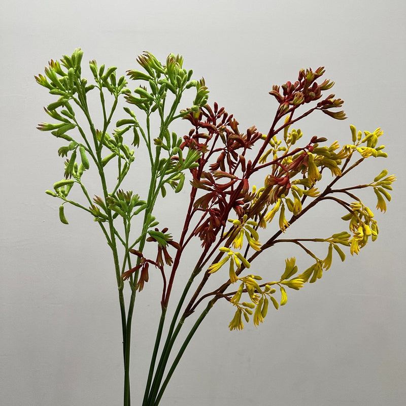 Artificial Kangaroo Paw Bush, Plastic PE/PVC Faux Greenery, Indoor Outdoor, for Home, Weddings & Window Displays