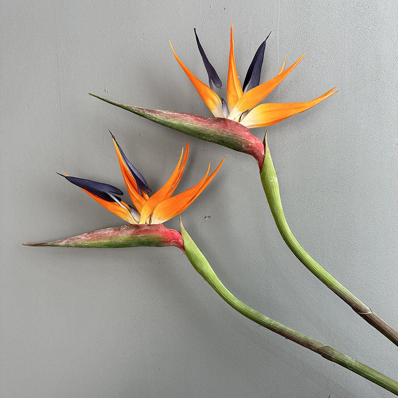 Wedding Decor Large Real Touch Artificial Bird of Paradise - Premium Photo Prop & Home Accent