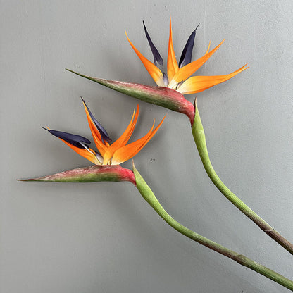 Wedding Decor Large Real Touch Artificial Bird of Paradise - Premium Photo Prop & Home Accent