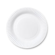 Bulk 20 Pcs Disposable Paper Plates Wholesale