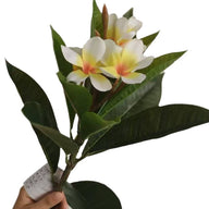 Bulk 26" Frangipani Bridal Bouquet Artificial Flower Arrangement UV Coated for Boho Home Decor Bridal Shower Centerpieces Wholesale