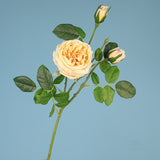 27.6" Ins-Style Faux Pink Rose Stem – Artificial Flower for Home Decor (Living Room/Dining Table) | Wedding & Photoshoot Prop