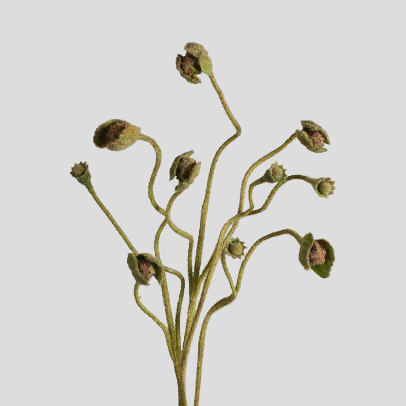 Artificial Poppy Seed Pod Bush, Faux Silk-Like Fabric Fruit Stem, for Wedding, Home & Floral Arrangements