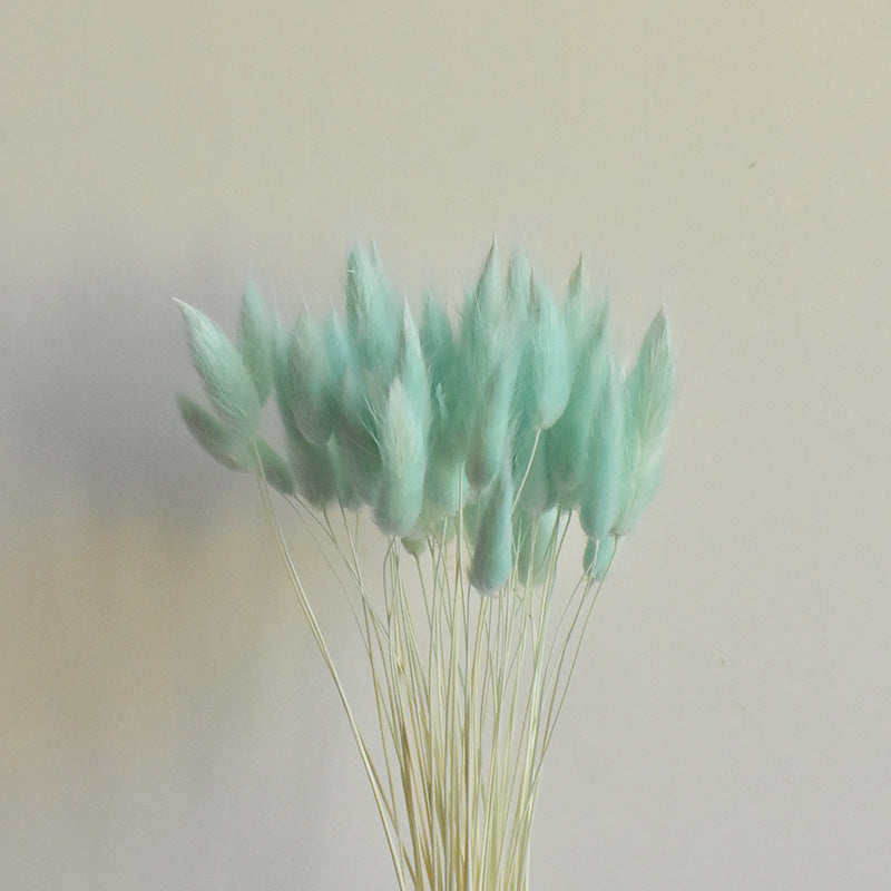50 Pcs Natural Bunny Tails Dried Flowers, Soft Beige, 4-6 Inch Stems for Wedding, Baby Shower, Boho, Fall Decor
