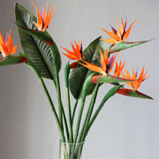 10 Pcs Orange Birds of Paradise Stems 20 Inch Real Touch Artificial Flowers
