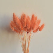 50 Pcs Natural Bunny Tails Dried Flowers, Soft Beige, 4-6 Inch Stems for Wedding, Baby Shower, Boho, Fall Decor