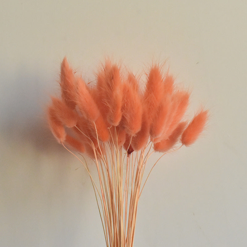 50 Pcs Natural Bunny Tails Dried Flowers, Soft Beige, 4-6 Inch Stems for Wedding, Baby Shower, Boho, Fall Decor