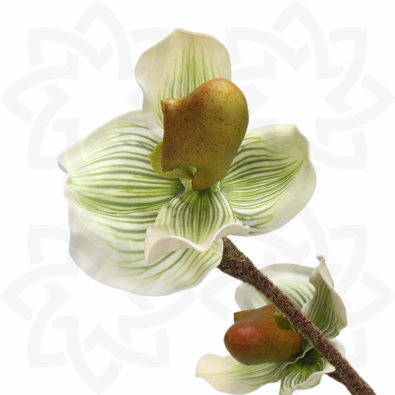 19 Inch Paphiopedilum Artificial Flowers Stem Real Touch Bulk Quantity