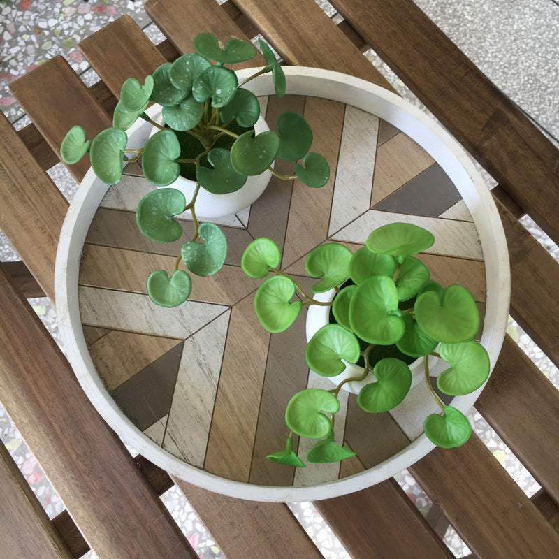 6 Inch Pennywort Stem 10 Pcs Artificial Lucky Hydrocotyle Vulgaris Greenery Plant