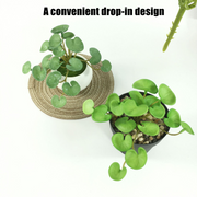 6 Inch Pennywort Stem 10 Pcs Artificial Lucky Hydrocotyle Vulgaris Greenery Plant