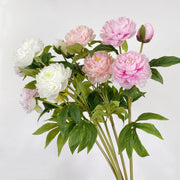 27.5 Inch Peony Silk Flower Stem 10 Pcs Artificial Faux Floral Arrangements Bulk