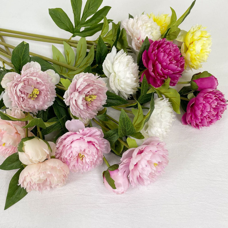 27.5 Inch Peony Silk Flower Stem 10 Pcs Artificial Faux Floral Arrangements Bulk