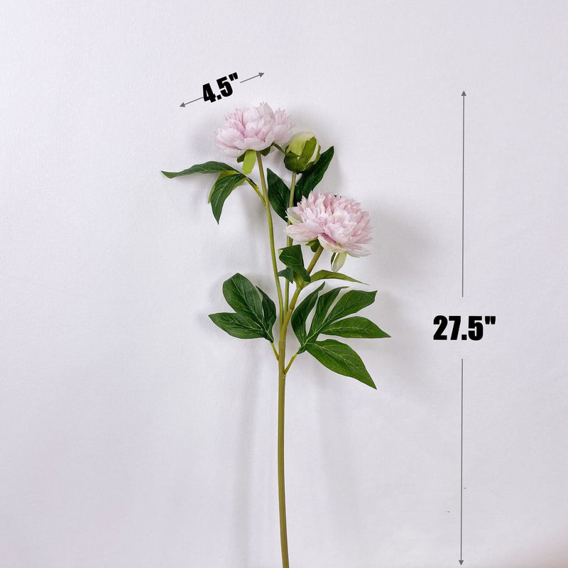 27.5 Inch Peony Silk Flower Stem 10 Pcs Artificial Faux Floral Arrangements Bulk